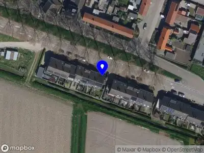 Bente Will Translate