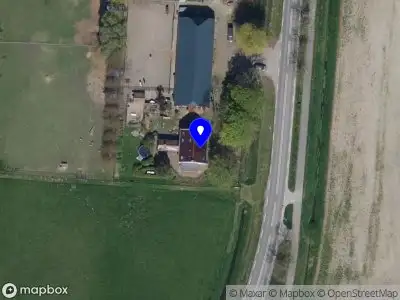 Rozas hondenopvang/coach