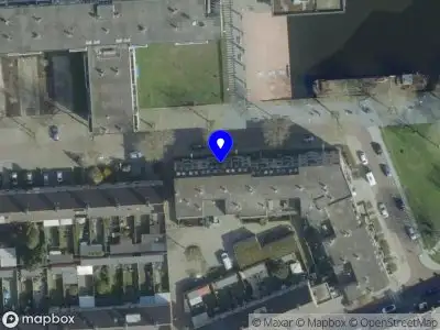 Lioness Glance Tilburg