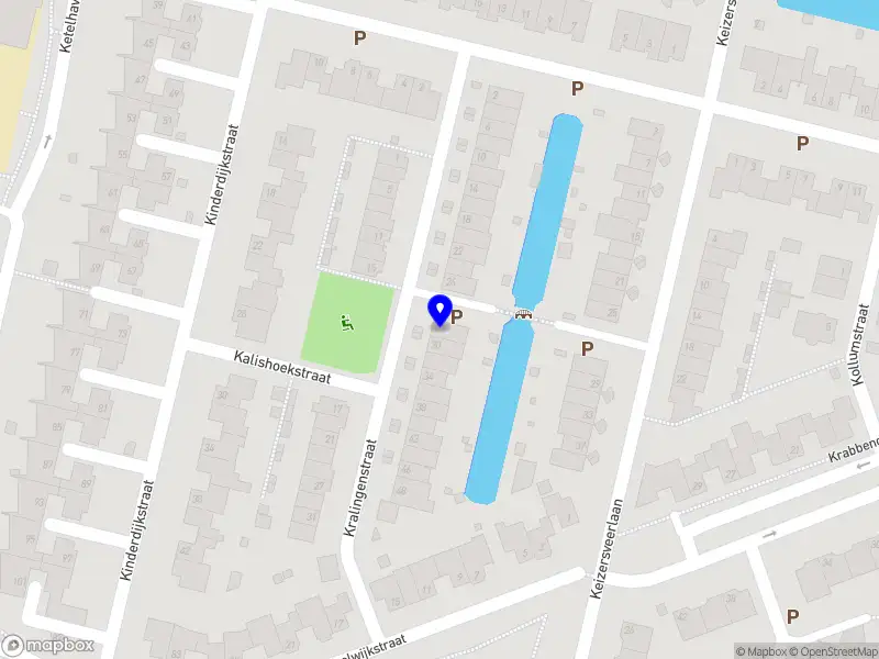 Panhuijsen Consulting