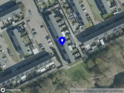 Nieuw bedrijf Leoniefalckfotografie