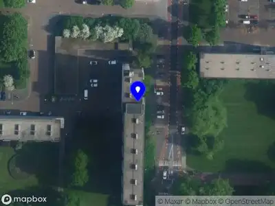 Nieuw bedrijf Ines Díez Violinist