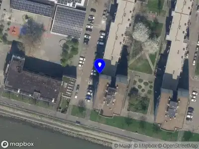 Silva dos Reis Vieira Rotterdam