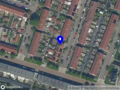 Nieuw bedrijf Oana Petras