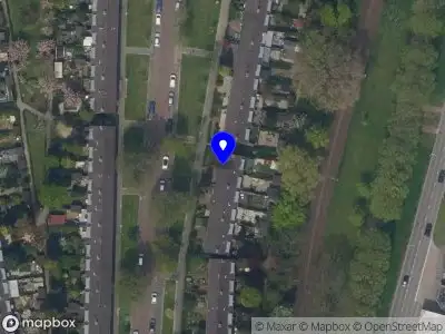 Ramos Management & Services