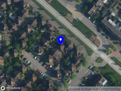 Alejandra Private Tutoring