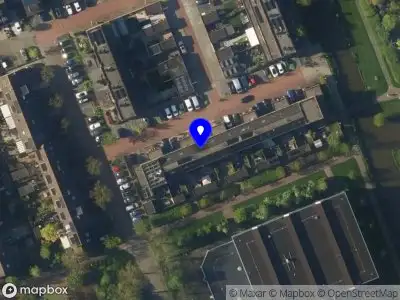 Your Flavorite Mojito