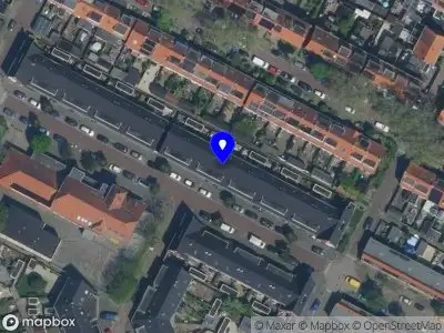 Nieuw bedrijf Phyllz