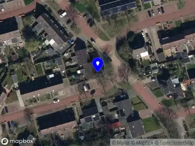 Miranda Timmermans Arts & Crafts