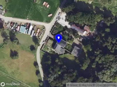 Maddie Mol Coaching & Consulting