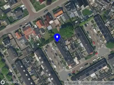 Nieuw bedrijf la Fleur jewelry