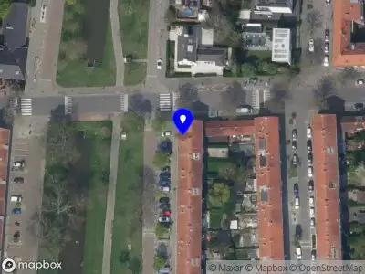 Dumitru Groenvoorziening Rotterdam