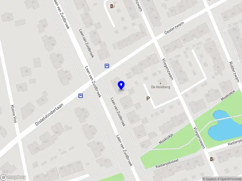 Aletta de Voedingscoach