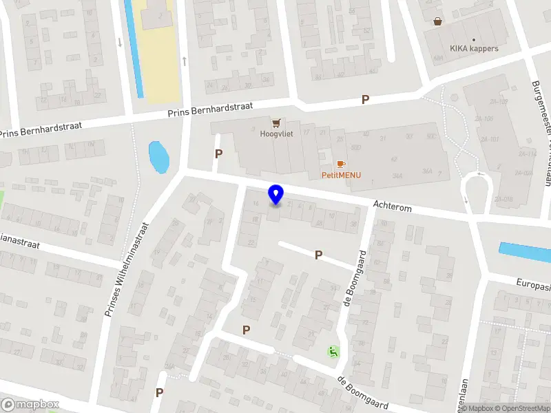 Stegemanstukadoors Koudekerk aan den Rijn