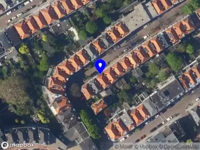 Nieuw bedrijf Elif Soguksu