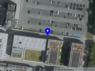 Rootflow business Maastricht
