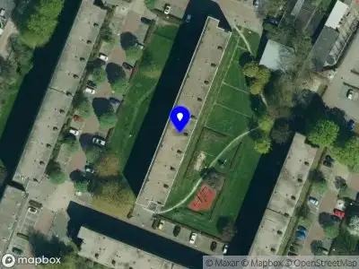 Bijenblij Veenendaal