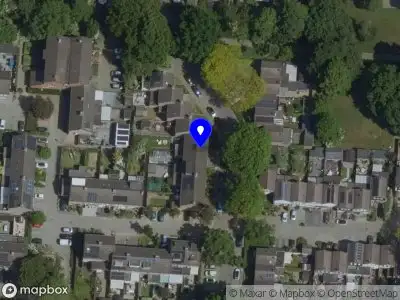 Green Vitality Coaching