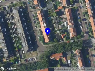 Buddy Marketing Agency