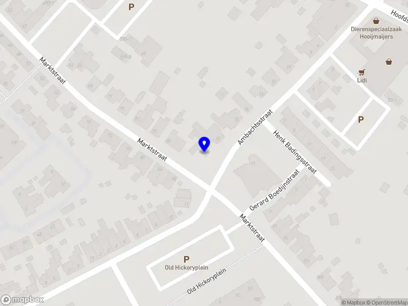 Van leeuwen snelkoerier Kerkrade