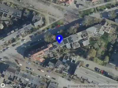 EcoBoom boomverzorging & advies Nijmegen