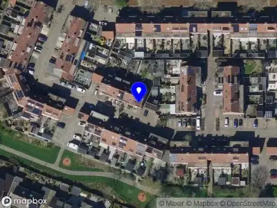 BE LAUT Setter, Sport & Services