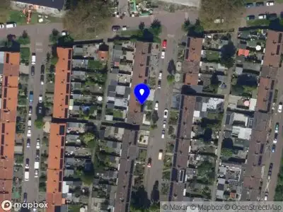 Milde muis Amersfoort