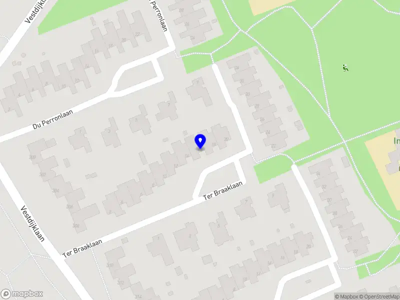 Ton Besamusca coaching