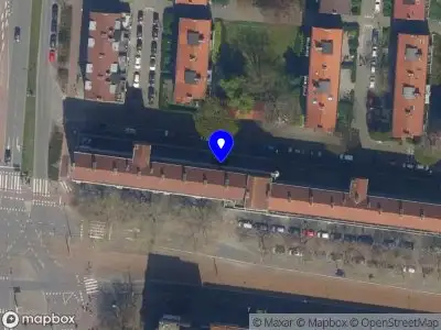 Diana Gon - Sustainable Health & Lifestyle