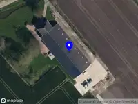 Fellery Flowers by Elvira