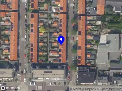 Nieuw bedrijf Pluggies