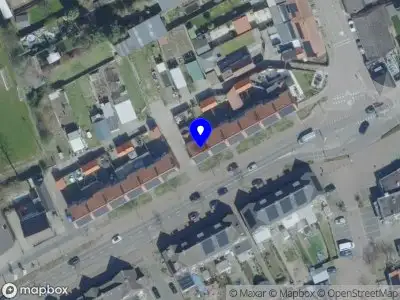 Wild Wisdom Ontluik je oerkracht