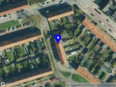 De Gouden Toiletborstel