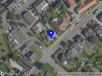 Nieuw bedrijf Fan of cupping