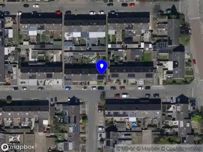 Nieuw bedrijf Ionut Dragoi