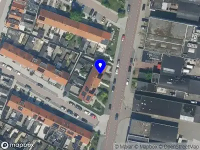 Nieuw bedrijf Dutch Wool Creations