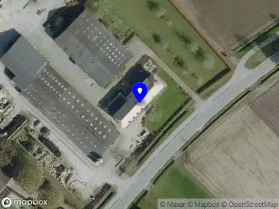 Inge Kerstbomen MOERGESTEL