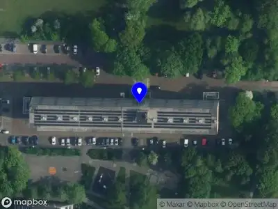 Nieuw bedrijf Honey Rose Cake Amsterdam