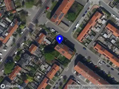 Natural High Boomverzorging