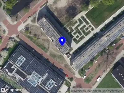 Survive Statistics Leiden