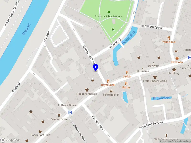 Boxtout 's-Hertogenbosch