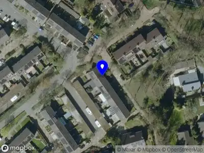 Judys groene vingers