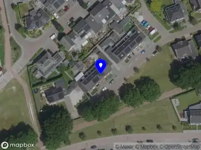 Kintija Purina Cake Design