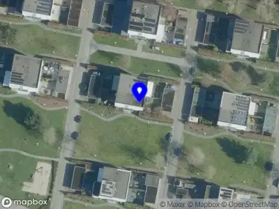 Damian Antoni Montage