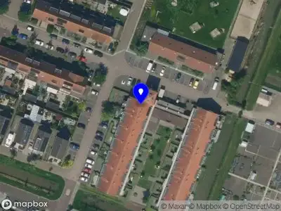 Creative Ants Collective