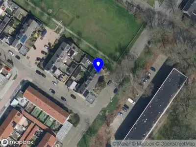 The Bee Online Shop Oosterhout