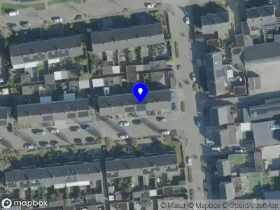Morbird Company Oss