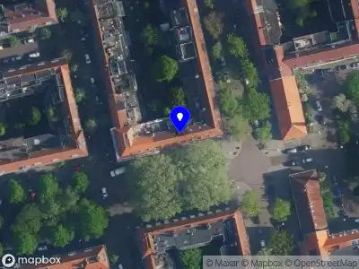 Nieuw bedrijf Curious Curator