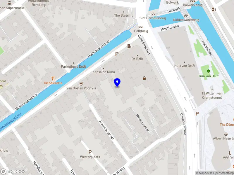 Flemming van der Steen