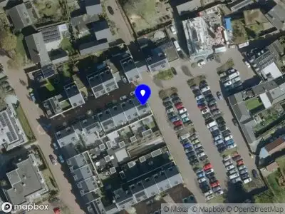 Saskia van Hees permanente make-up